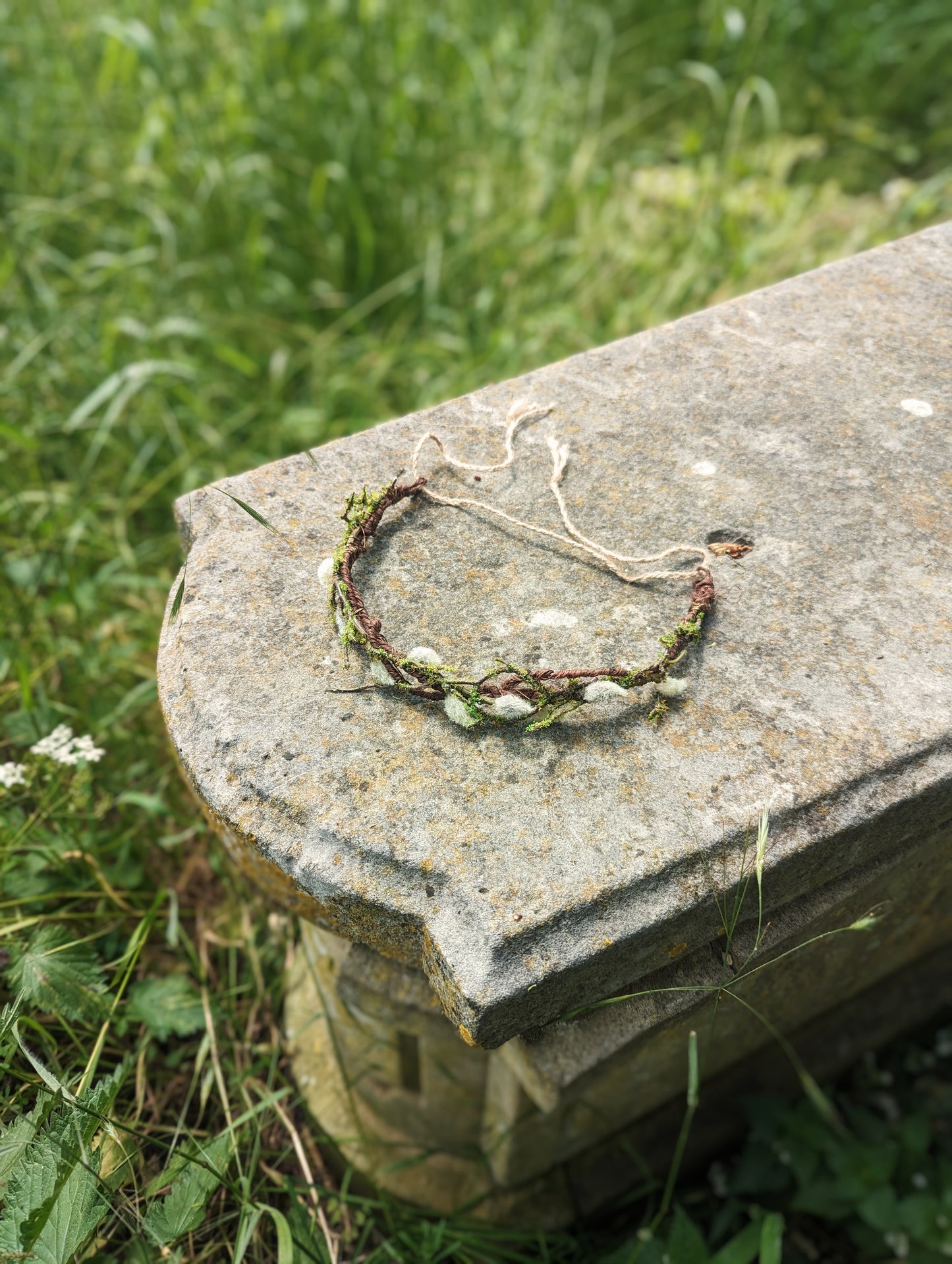 Willow Crown