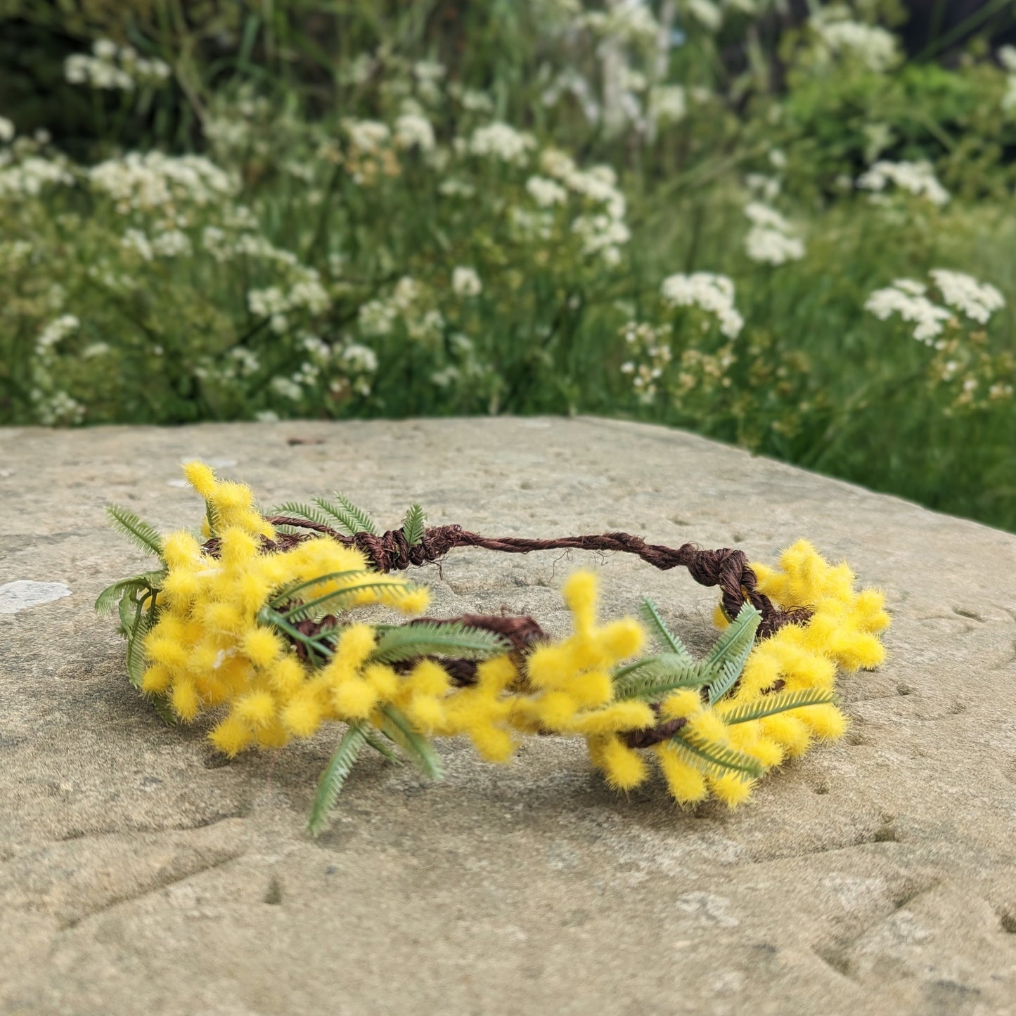 Mimosa Crown