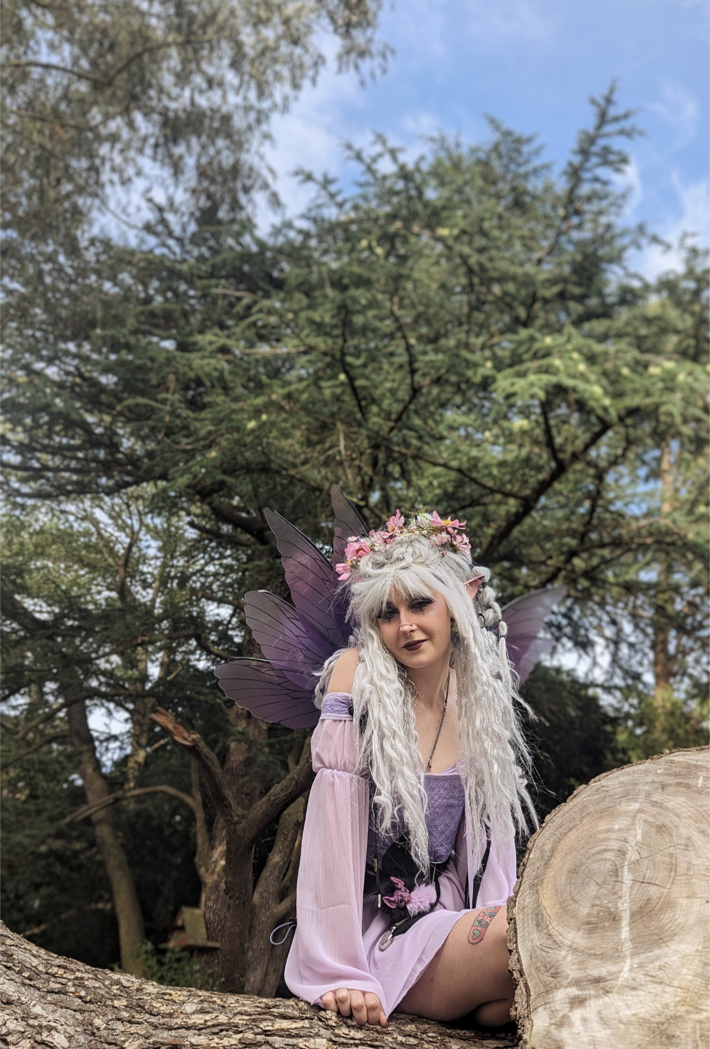 Pale Pink Meadow Flower Crown