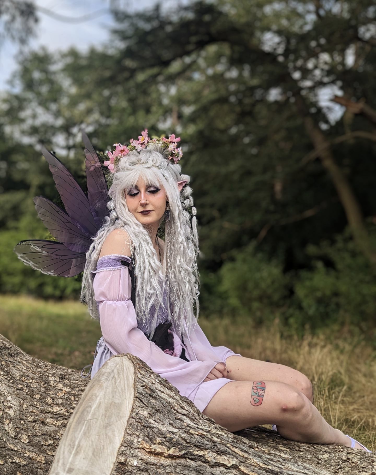 Pale Pink Meadow Flower Crown