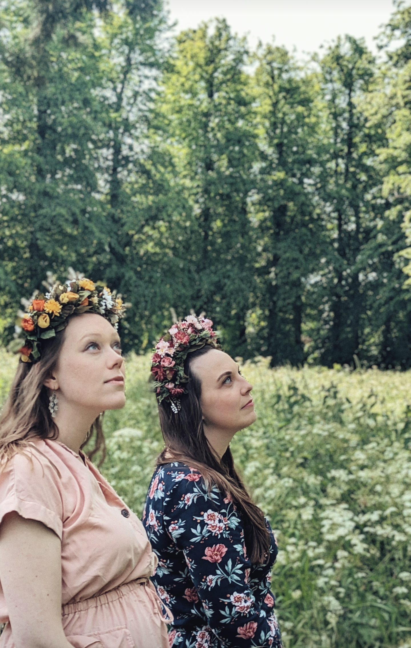 Pink Rose Flower Crown