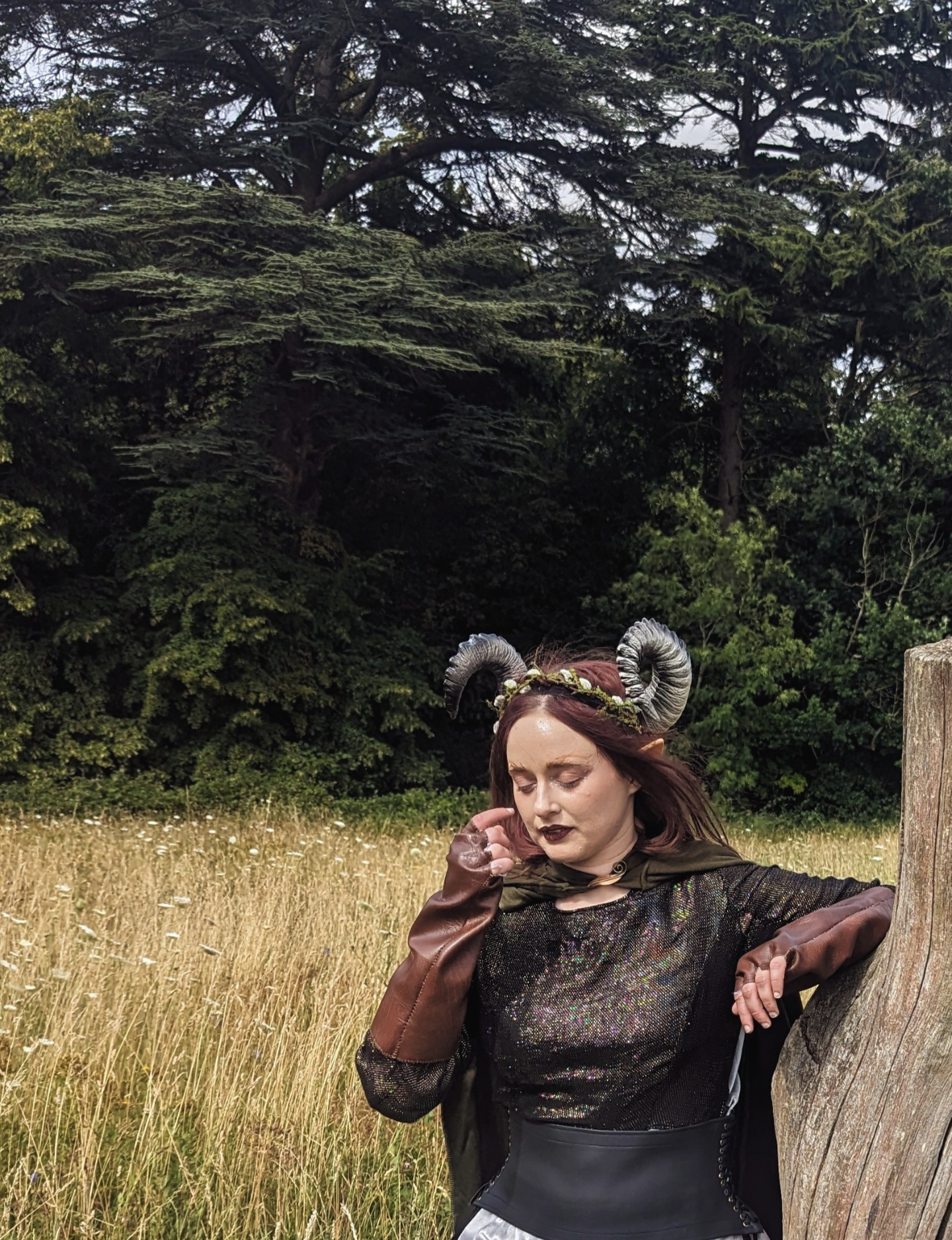 Willow Crown