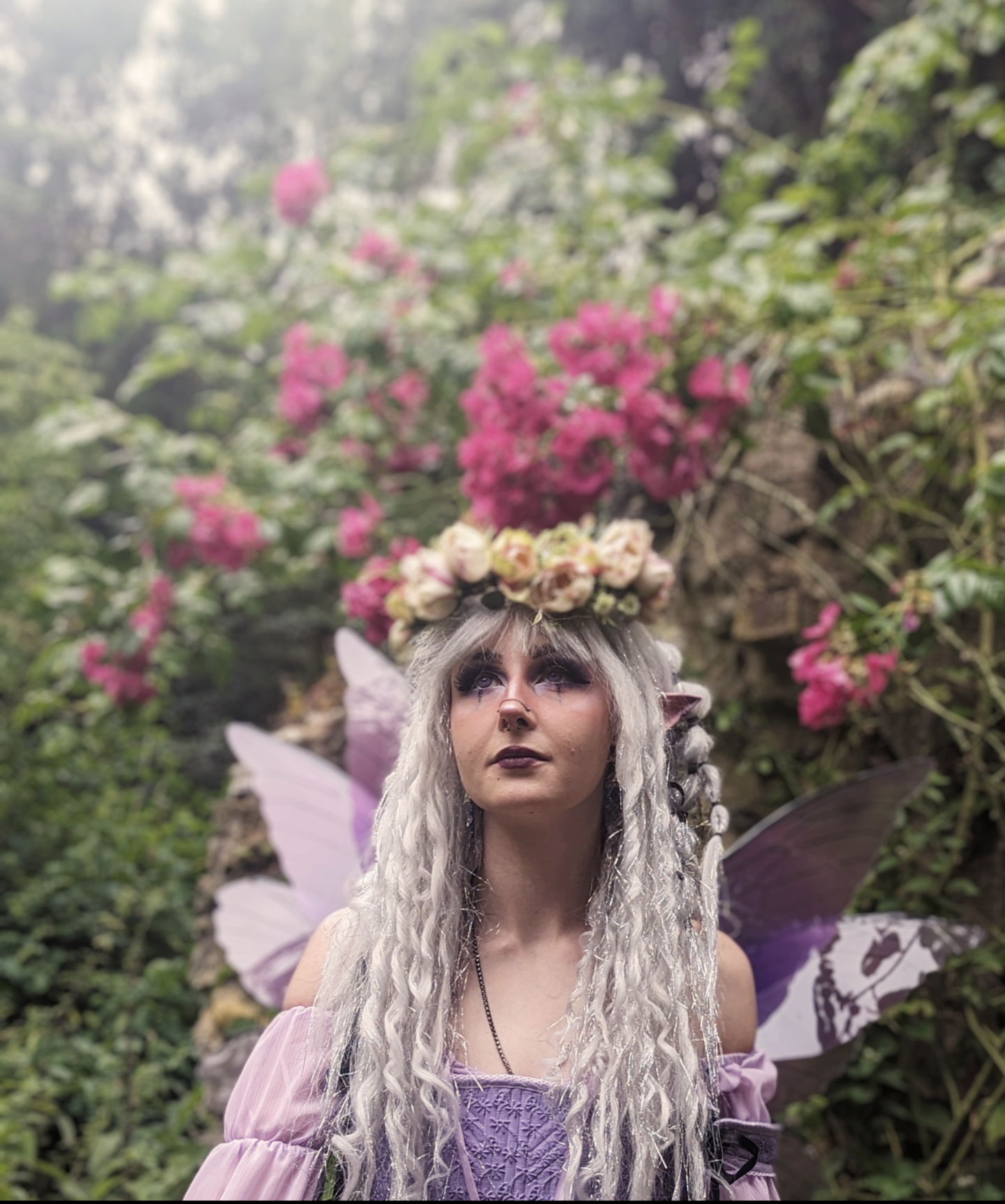 Rose Half Crown